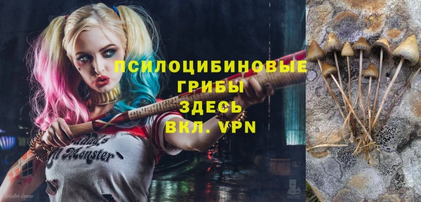 дурь Саяногорск