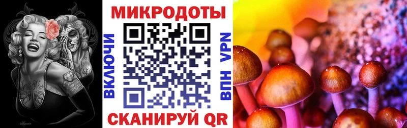купить наркотик  Урюпинск  OMG вход  Псилоцибиновые грибы мицелий 